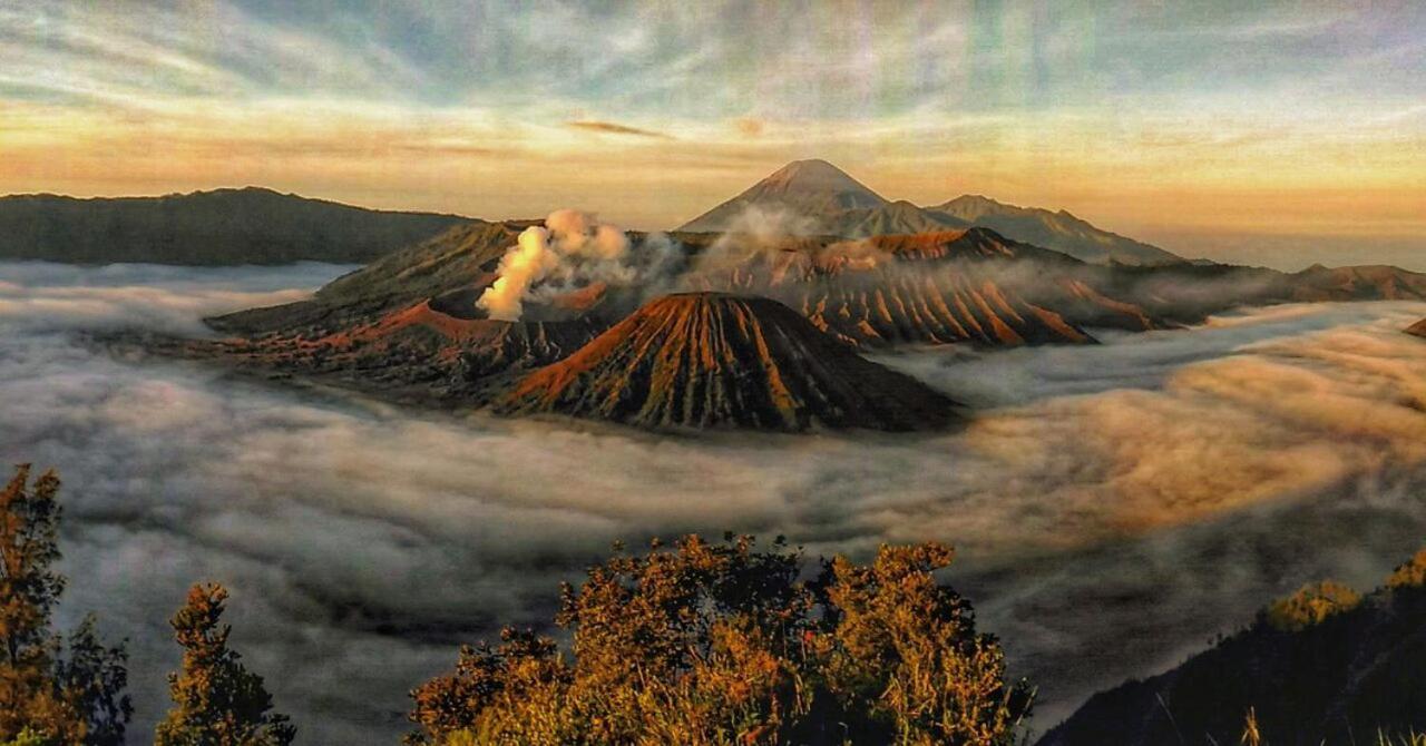 Hotel Ijen Transito à Ketapang  Extérieur photo
